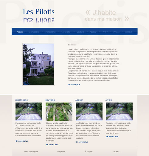 Les pilotis : interface graphique de la page d'accueil du site Internet